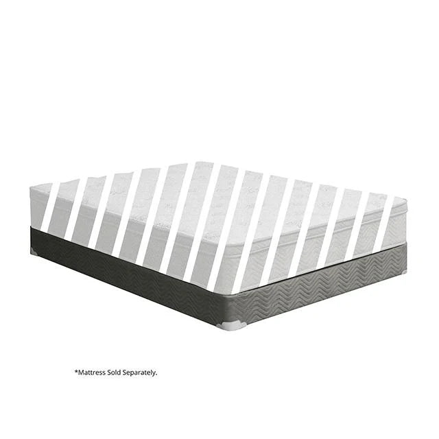 Aleksa Foundation in Gray