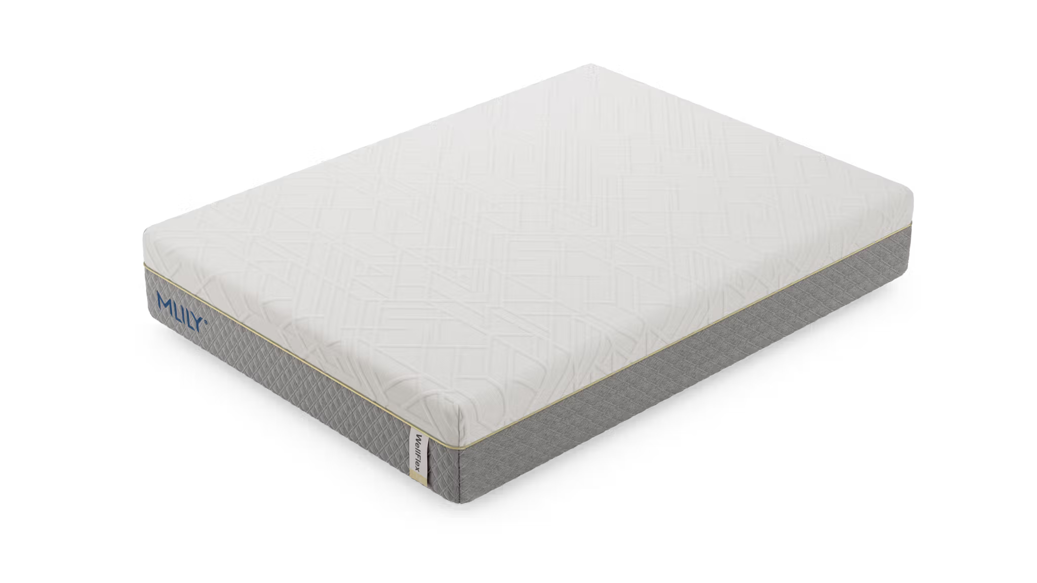 WellFlex 1.0 - Twin