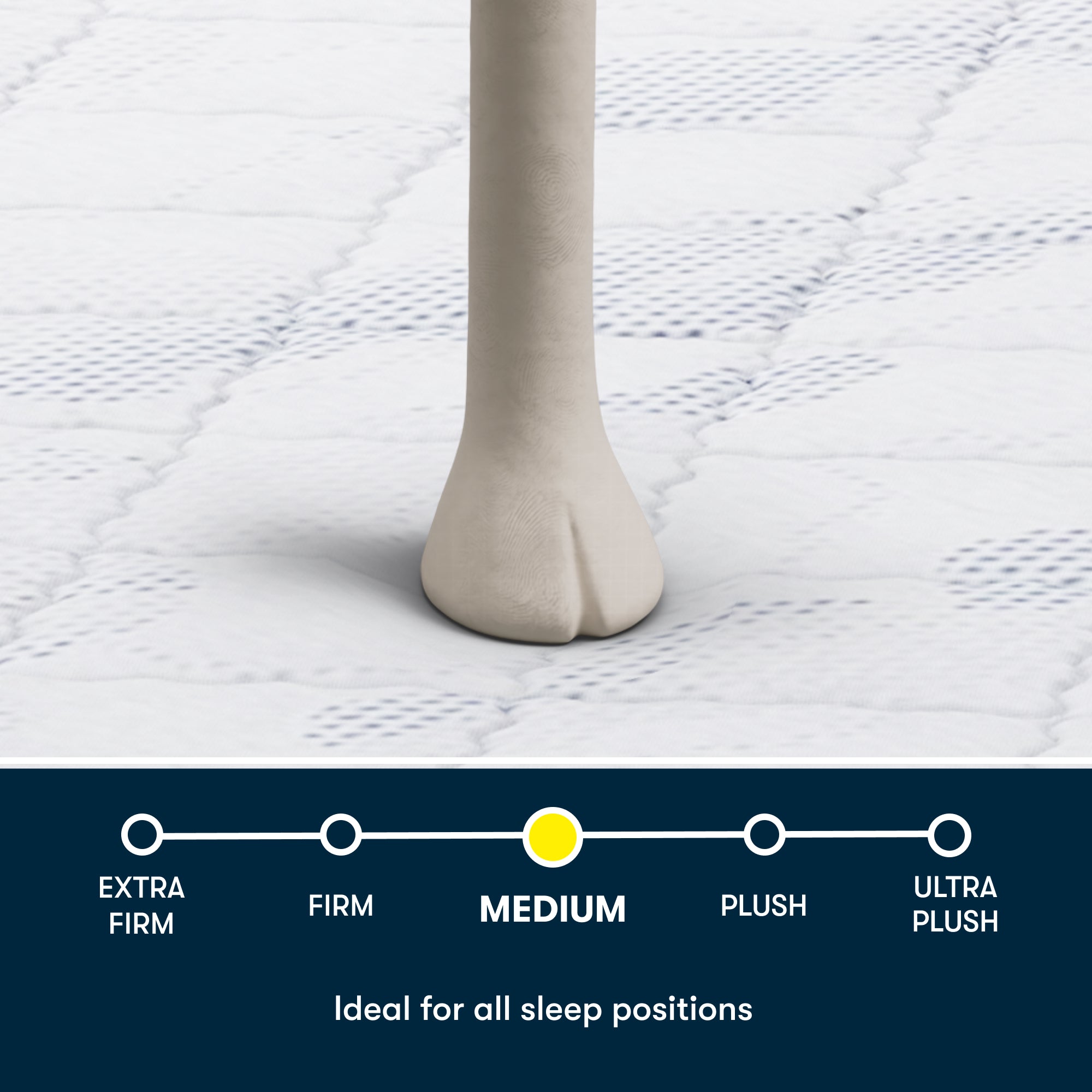 Serta Perfect Day 10" Medium Mattress in a Box