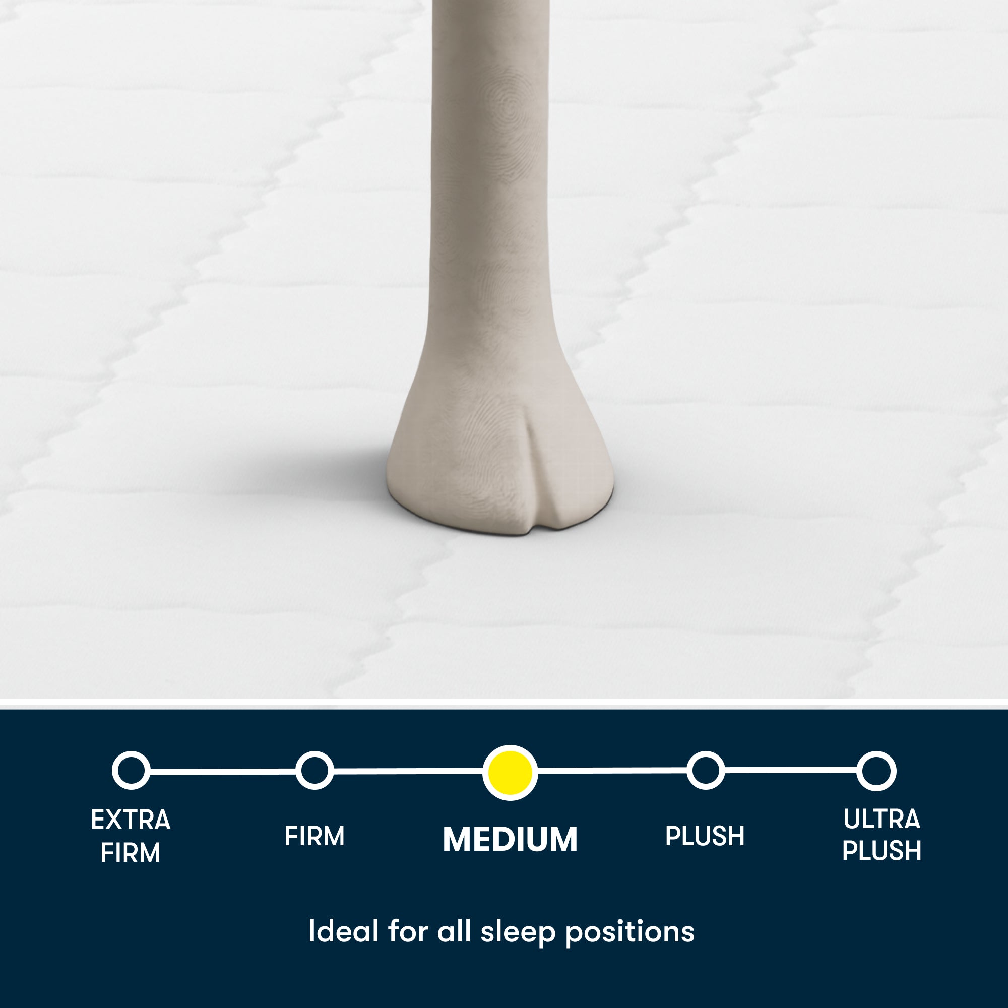 Serta Perfect Day 8" Medium Mattress in a Box