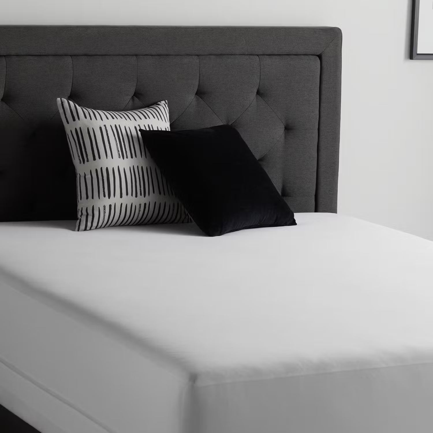 Encase™ 360(degree) Mattress Protector