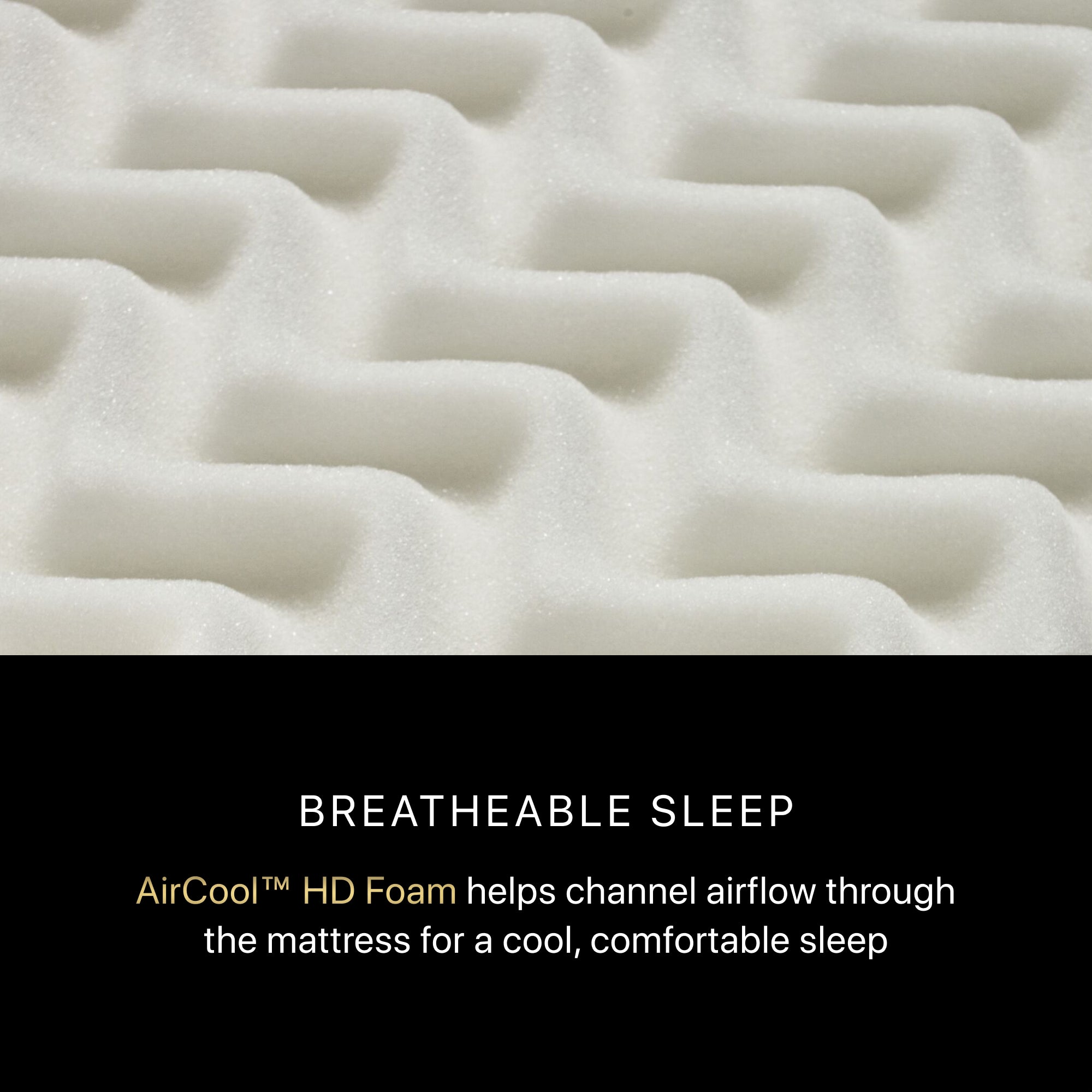 Beautyrest Black® Series One 14.75" Medium Pillow Top Mattress