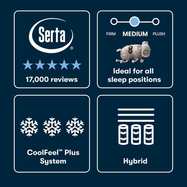 Beautyrest Comfort Level Chart