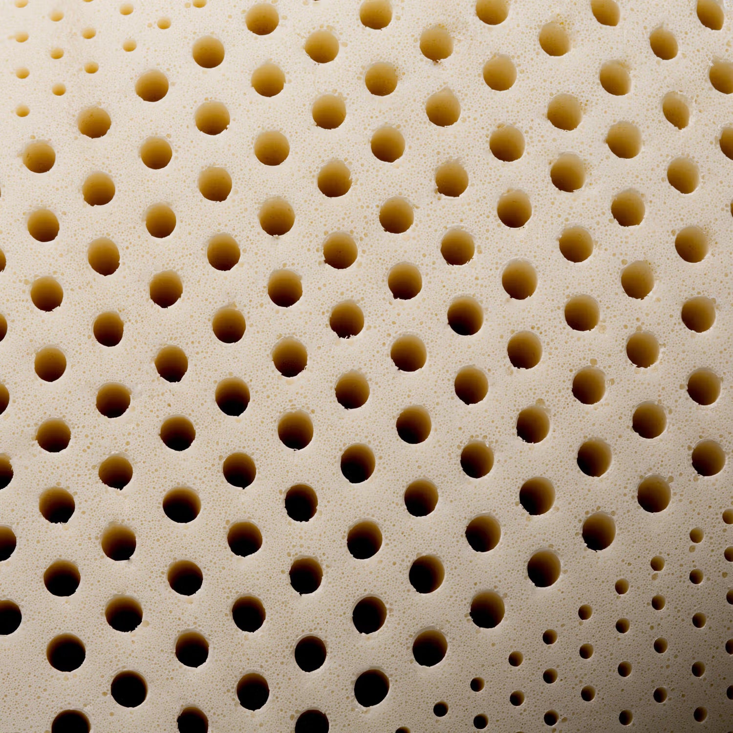 Zoned Talalay Latex High Loft Queen