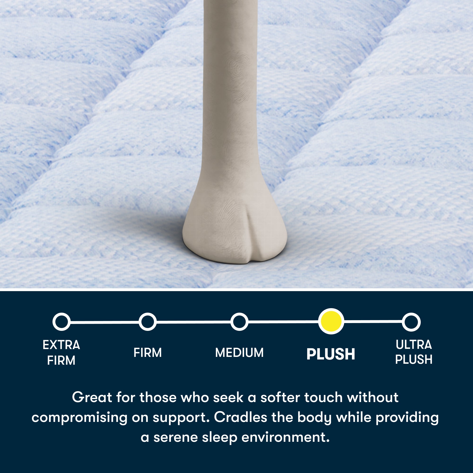 Serta Perfect Day 16" Plush Pillow Top Mattress in a Box