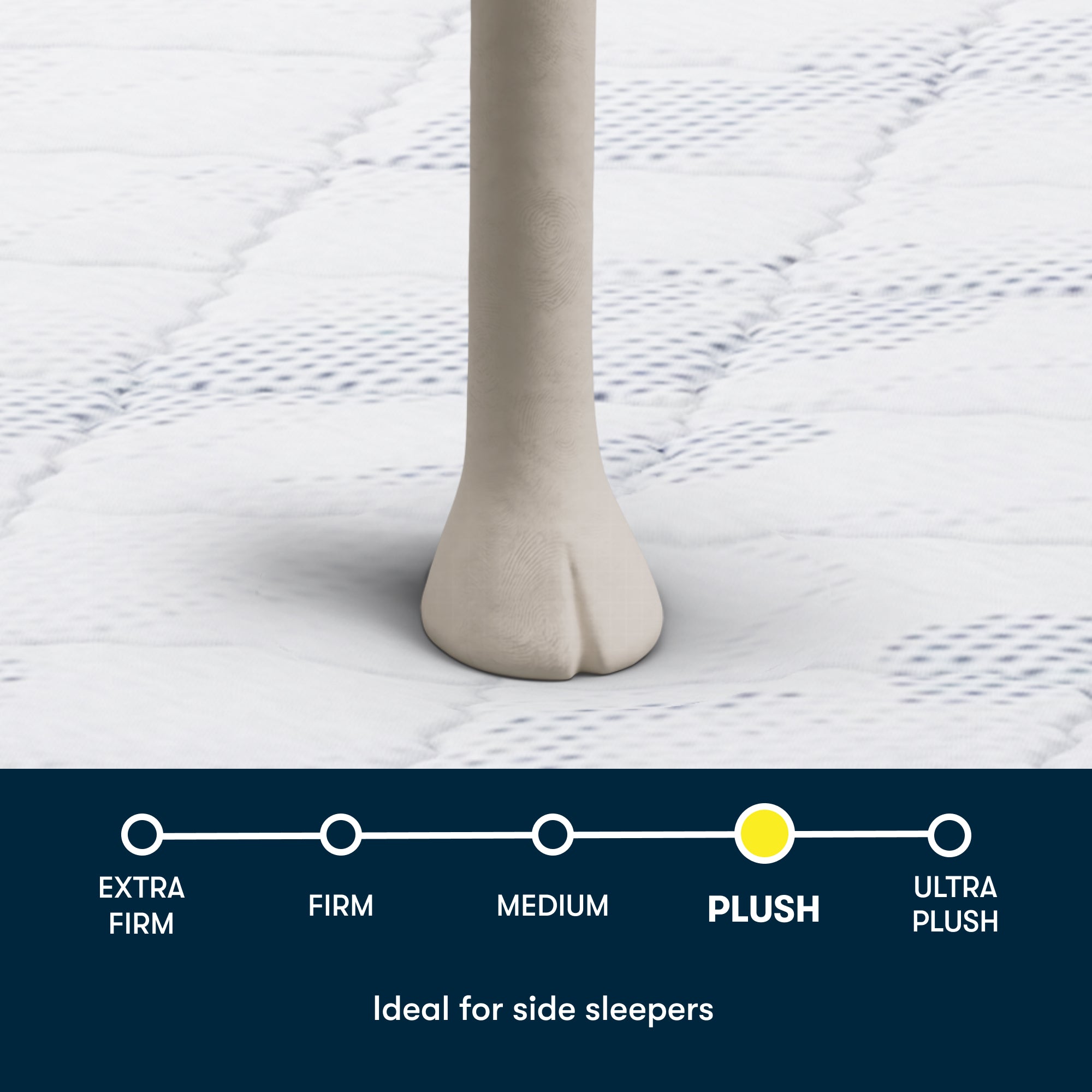 Serta Perfect Day 12" Plush Pillow Top Mattress in a Box